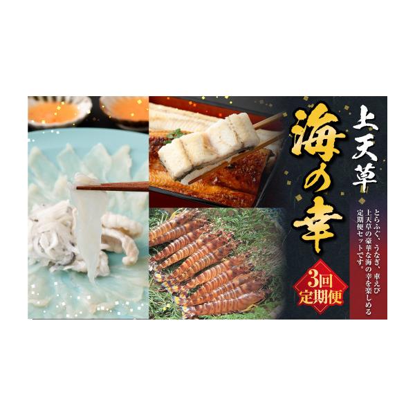 ふるさと納税 フグ 熊本県 上天草市 R8年熊本地震復興支援 上天草海の幸 3回定期便 とらふぐ 刺身 刺し身 ふぐ刺し トラフグ ふぐ フグ 天草藍うなぎ うなぎ …