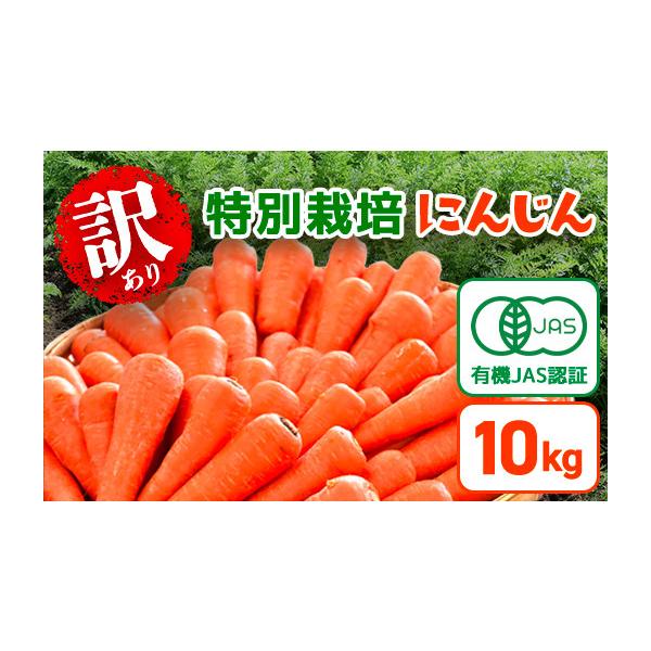 容量にんじん10kg×1箱※訳あり品になります。割れや折れ、サイズ不揃い等が混じることがございます。ご理解の上、ご寄附をお願いいたします。原産地：千葉県山武市消費期限生鮮食品のためなるべくお早めにお召し上がりください。発送期日12月〜2月※...