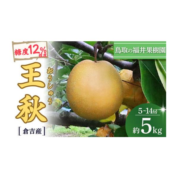 容量5kg（5〜14玉）※最適な時期に収穫しておりますが、大きさはその年の天候に左右されます。個数は目安としてお考えください。発送期日10月下旬〜11月下旬※農作物のため育成状況により出荷時期が前後する場合がございます。配送常温 時間指定 ...