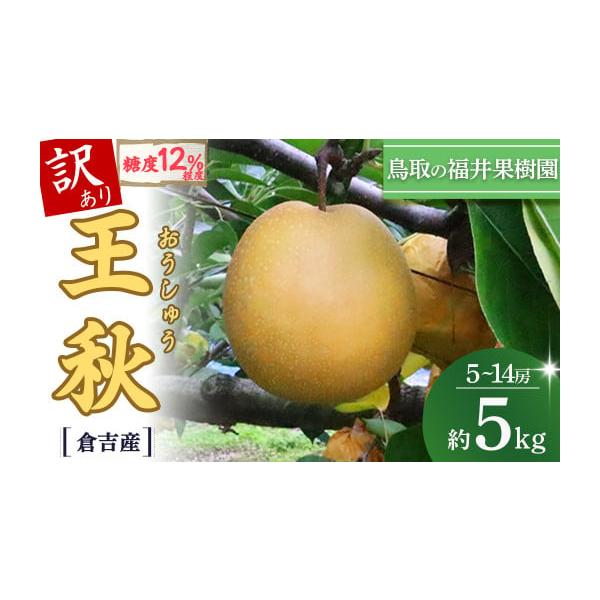 容量5kg（5〜14玉）※最適な時期に収穫しておりますが、大きさはその年の天候に左右されます。個数は目安としてお考えください。発送期日10月下旬〜11月下旬※農作物のため育成状況により出荷時期が前後する場合がございます。配送常温 時間指定 ...