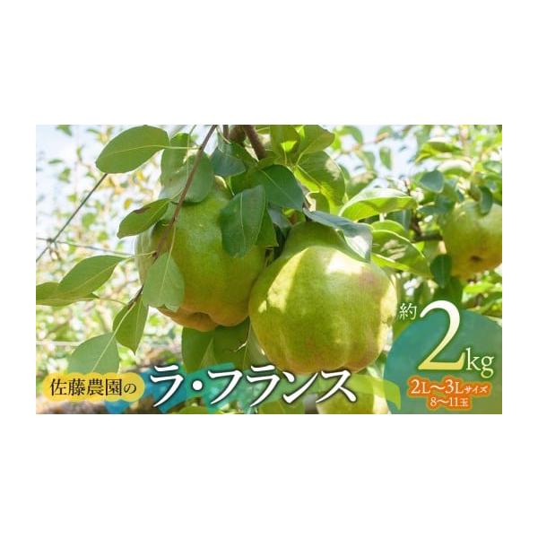 容量ラ・フランス　2L〜3L　 約2kg (8〜11玉）※サイズ・玉数のご指定はお受けできません。【提供事業者】 佐藤農園【産地名】鶴岡市櫛引産消費期限常温で約１週間なるべく早めにお召し上がりください。発送期日令和8年11月1日〜11月30...