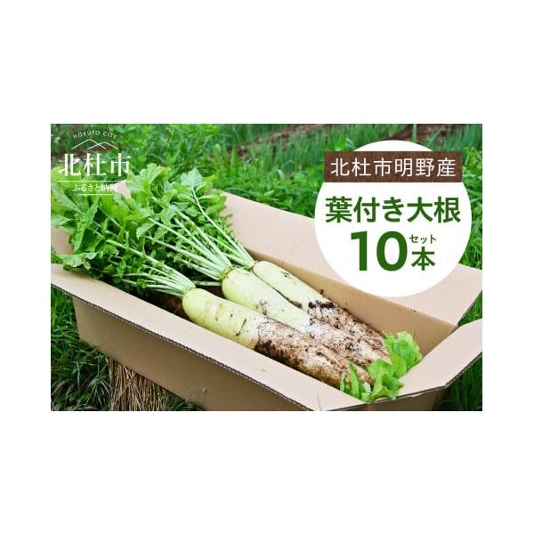 容量北杜市明野産「葉付き大根」×10本セット【注意事項】※ お手元に届きましたら、できるだけ早く葉っぱを切り落として保存してください。※ 自然のものですので、重量は多少前後いたします。※ サイズによっては、葉っぱを折り曲げるなどの処置を行な...