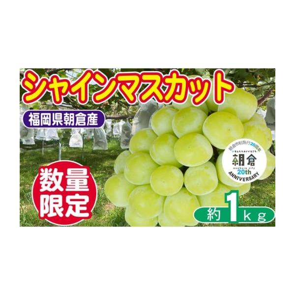容量朝倉市産　シャインマスカット　約1kg（1〜3房）消費期限消費期限：冷蔵3日発送期日2026年9月上旬〜10月下旬まで配送冷蔵 別送申込期日2026年9月30日まで事業者ゆう美果樹園申込条件何度も申し込み可