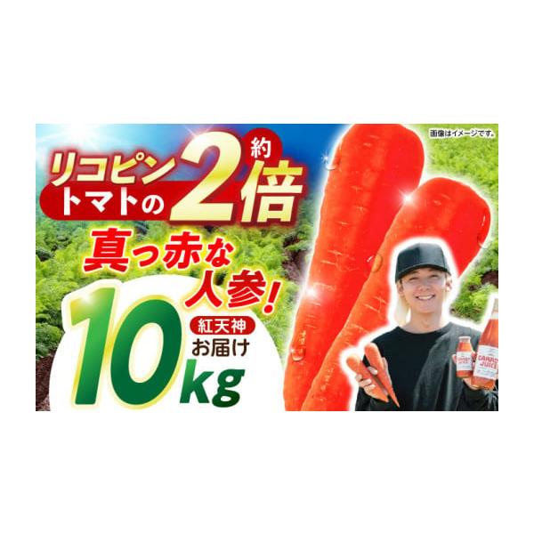 容量ブランド人参「紅天神」 10kg【原料原産地】長崎県諫早市産消費期限出荷日より冷蔵保存で約10日間発送期日2026年1月上旬頃から順次発送予定※天候等の影響により多少前後する場合がございます。配送冷蔵 時間指定 別送申込期日2026年6...
