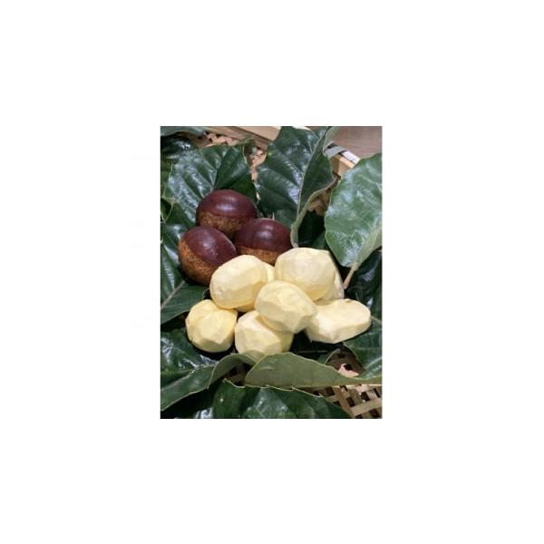 容量■お礼品の内容について・むき栗[200g×2パック]原産地:岐阜県不破郡関ヶ原町■原材料・成分栗消費期限■賞味期限:製造日から3ヶ月発送期日2026年1月より順次発送　※離島にはお届けできません。配送冷凍 別送申込期日〜2025-12-...