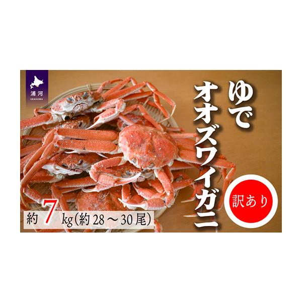 ふるさと納税 カニ ずわいガニ 北海道 浦河町 訳あり ゆでオオ