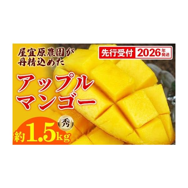 容量完熟アップルマンゴー秀約1.5kg（3〜5玉）※玉数指定はできません。消費期限青果物のため、早めにお召し上がり下さい。発送期日2026年6月下旬〜7月末頃を予定配送冷蔵 別送申込期日2026年7月15日頃を予定事業者屋宜原農園申込条件何...