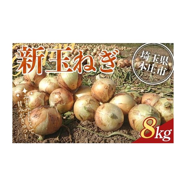 容量玉ねぎ8kg消費期限約1〜2ヵ月※直射日光を避け常温で保管して下さい発送期日2026年5月中旬〜5月下旬頃に順次発送配送常温 時間指定 別送申込期日2025年12月31日まで事業者おはなナチュラルファーム申込条件何度も申し込み可