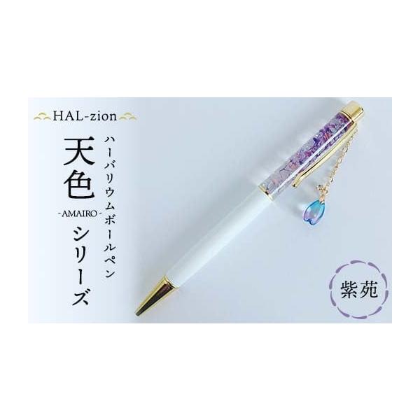 ふるさと納税 文房具・玩具 ボールペン 埼玉県 本庄市 HAL-zion