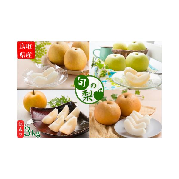 容量〔容量〕3〜10玉前後 3kg消費期限到着後お早めに召し上がりください。目安として、常温保存で発送日から４日以内、冷蔵保存で１週間以内にお召し上がりください。発送期日2025年8月下旬から2026年2月下旬配送常温 時間指定 別送申込期...