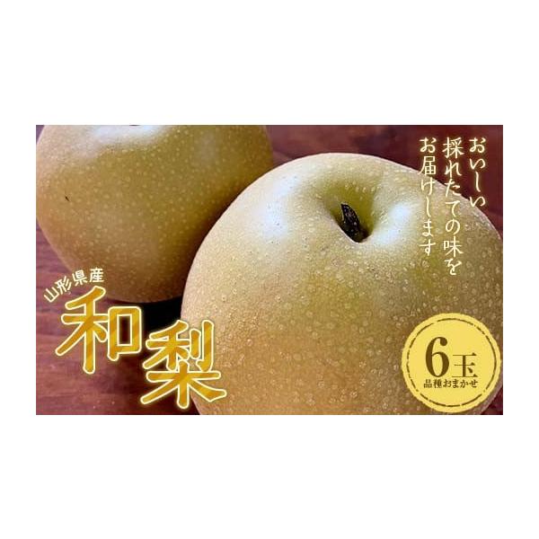 容量秀品 6玉幸水・豊水・あきあかり・南水・新高 他※品種はおまかせです。消費期限製造・加工後7日以内発送期日2026年8月下旬頃〜10月中旬頃に順次発送配送常温 時間指定 別送申込期日2026年10月1日まで事業者株式会社山美ファーム申込...