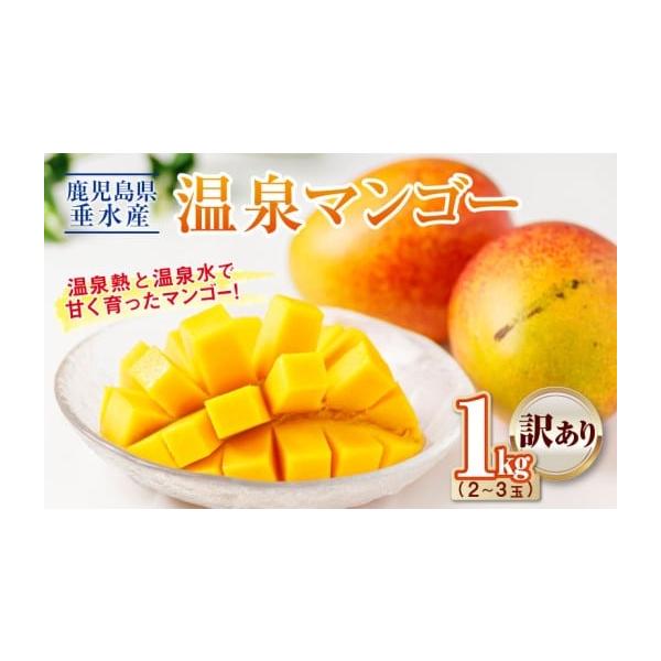容量■垂水産 温泉マンゴー（訳あり） 1kg（2〜3玉）-----------------------------------------※収穫状況によって玉数やサイズに多少変更がある場合がございます。ご了承ください。※玉数の指定はできませ...