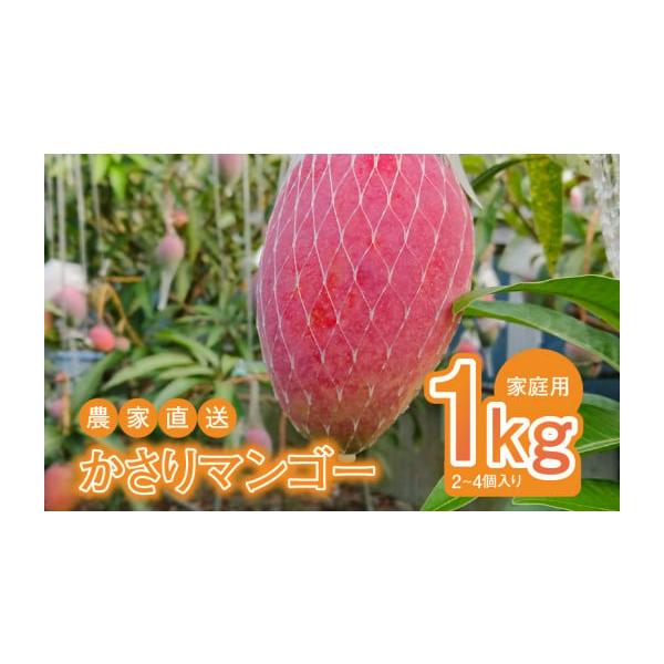 容量かさりマンゴー家庭用 1kg（2〜4個）消費期限冷蔵で2週間程度発送期日2026年7月中旬〜2026年8月下旬より順次発送いたします。配送冷蔵 別送申込期日2026年7月10日まで事業者HARANAGA-FARM申込条件何度も申し込み可