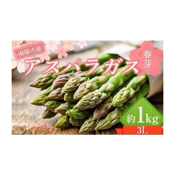 容量アスパラガス 約1kg3Lサイズ（約26cm、40g〜49g） 約20〜25本前後消費期限賞味期限：到着後2日以内※消費期限の短いお品ですので、お受け取りにはご注意ください。発送期日令和8年5月〜6月頃に順次発送※生育状況により発送時期...
