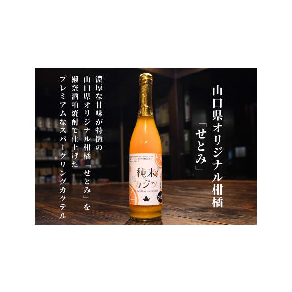 ふるさと納税 お酒 リキュール 山口県 周防大島町 純米とカジツ