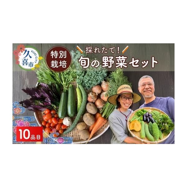 容量旬の野菜 10品目※品目数が所定より少なくなる場合は、1種類あたりの野菜の容量を増やす等の対応を行い、出荷いたします。※天候や収穫状況によりお届け時期・品目数が予定より前後する場合がございます。※野菜の品質には万全を期しておりますが、自...