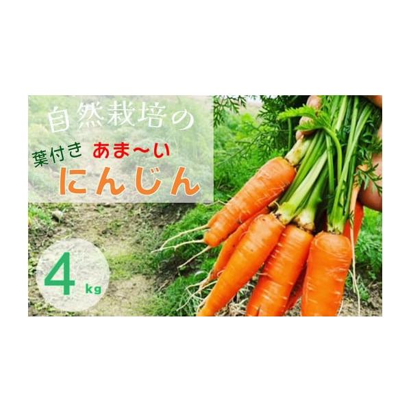 容量人参4kg発送期日2025年12月から順次発送配送冷蔵 別送申込期日〜2026年5月31日事業者かたもとオーガニックファーム申込条件何度も申し込み可、オンライン決済限定