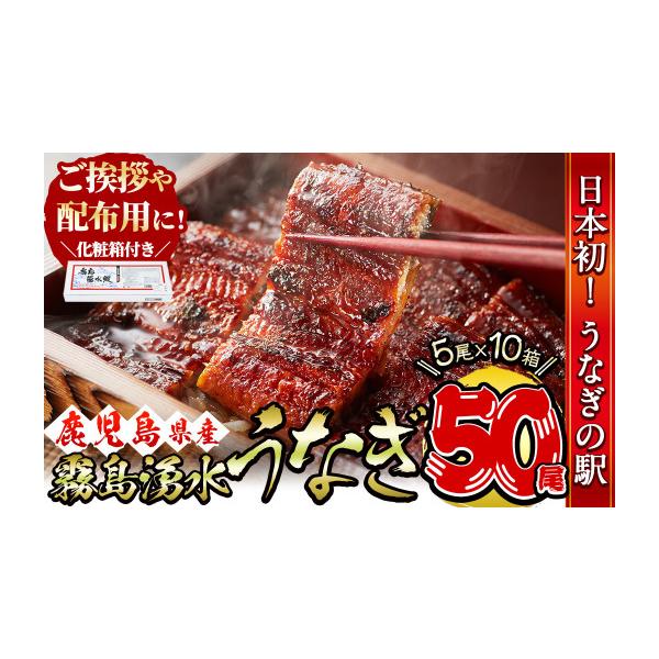 ふるさと納税 うなぎ 鹿児島県 志布志市 数量限定 化粧箱10箱 ご挨拶・配布用にも 鹿児島県産 山田水産の霧島湧水鰻 計50尾(5尾×10箱)／計8kg(1尾あたり160g…