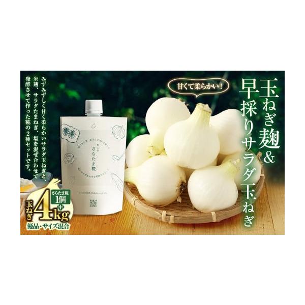 容量●さらたま糀170g入り：1個●サラダ玉ねぎ：4kg／優品・M〜2Lサイズ混合（規格外品ではありません）消費期限・玉ねぎ：発送日から2週間程度・さらたま糀：発送日より3か月間、別途商品ラベルに記載発送期日寄附確認後、2026年3月下旬〜...