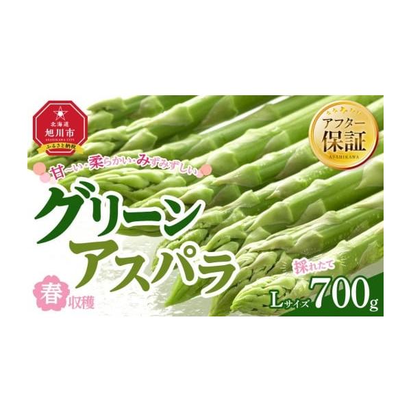 容量グリーンアスパラ　L約700g消費期限１週間発送期日2026年6月上旬から発送開始予定配送冷蔵 時間指定 別送申込期日〜2026年6月27日まで事業者株式会社マルマンフーズ申込条件何度も申し込み可、オンライン決済限定
