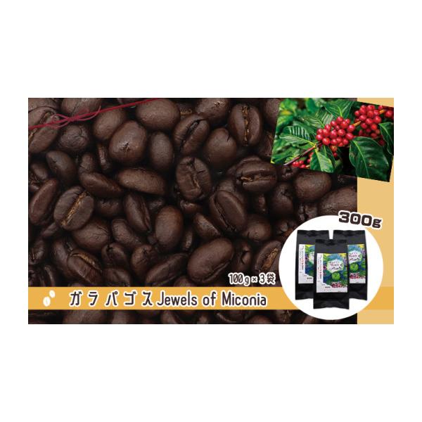 ふるさと納税 コーヒー 香川県 丸亀市 50度お湯洗い焙煎豆 ガラパゴス Jewels of Miconia