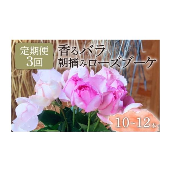 静岡県産朝摘みバラ3ヶ月定期便の購入ガイド