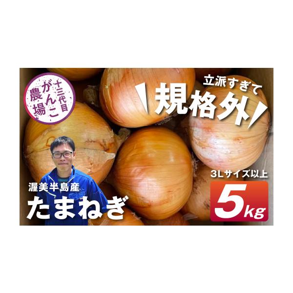 容量サイズ弊社お任せ（5ｋｇ／1箱）発送期日旬の時期にお届けします。6月上旬〜7月下旬生育状況により遅延する可能性がございます。ご了承ください。配送常温 時間指定 別送申込期日通年受け付けております事業者十三代目がんこ農場申込条件何度も申し込み可