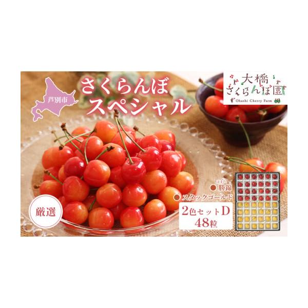 容量2色セット(D) スペシャル48粒 内容：勝(ほまれ)錦24粒・スタックゴールド24粒(約500g)■大橋さくらんぼ園について私たち大橋さくらんぼ園は、なにより『木が健康でなければ！』と考えています。健康な木に安全で美味しい実がなると考...