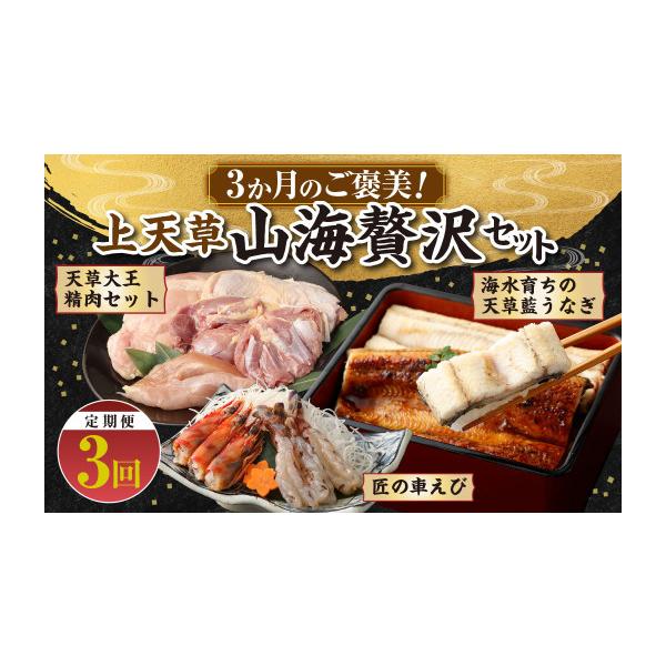 ふるさと納税 鶏肉 セット 熊本県 上天草市 R8年熊本地震復興支援 定期便 3か月のご褒美 上天草山海贅沢セット 天草大王 精肉 セット 鶏肉 肉 お肉 天草藍う…