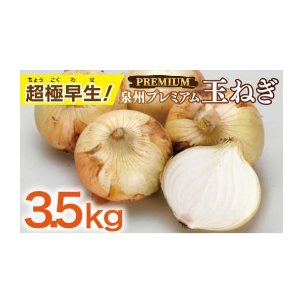 容量泉州プレミアムたまねぎ 3.5kg※画像はイメージです。消費期限発送日から10日間発送期日2026年2月から2026年4月までの期間に順次発送予定配送常温 別送申込期日期間限定で受け付けております。事業者IchigoLab_Izumis...