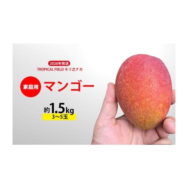 ふるさと納税 マンゴー 沖縄県 名護市 2026年発送 TROPICAL FIELD モリ