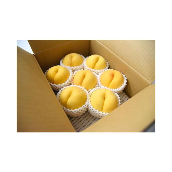 容量秀品:黄桃 品種おまかせ(黄金桃、黄貴妃、光黄など) 2kg消費期限1週間程度発送期日2026年8月中旬〜9月下旬頃まで配送冷蔵 のし 時間指定 別送申込期日2026年9月10日まで事業者山形eLab申込条件何度も申し込み可