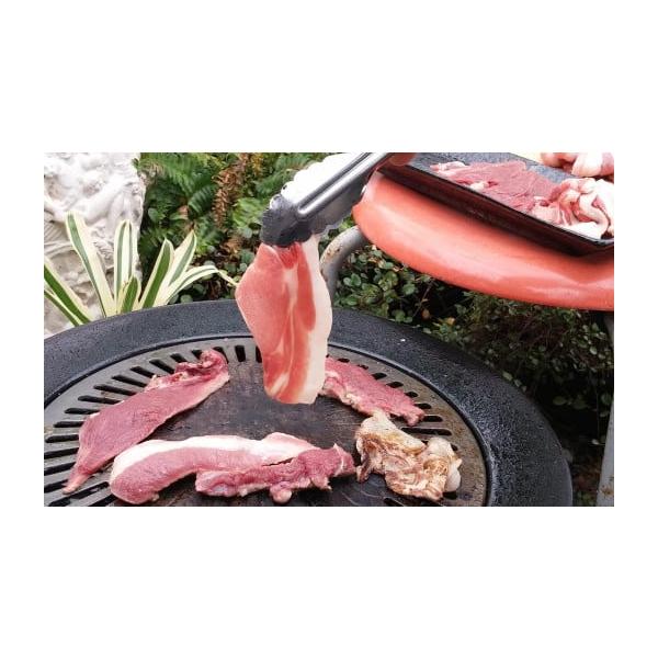 容量・猪肉切り落とし 200g×3袋（※主に細切れ肉、不足する時は200gスライス肉を発送します。）消費期限【賞味期限】冷凍庫180日間【消費期限】冷凍庫180日間発送期日【スピード発送】決済から7日程度で発送配送冷凍 時間指定 別送申込期...