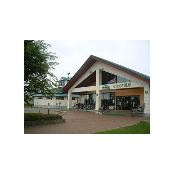 ふるさと納税 温泉・サウナ・スパ利用券 北海道 北斗市 北斗市健康センター　せせらぎ温泉入浴回数券(11枚綴) ふるさと納税 人気 おすすめ ランキング 温泉 源…