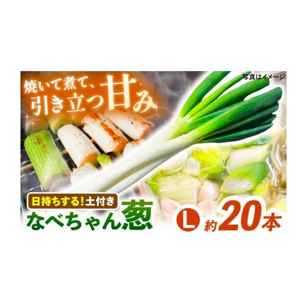容量なべちゃん葱 土付き Lサイズ5kg 約20本【原料原産地】島根県雲南市消費期限出荷から14日間発送期日2025年11月中旬〜2026年1月下旬　発送予定※発育状況により多少前後する場合がございます。あらかじめご了承ください。配送常温 ...