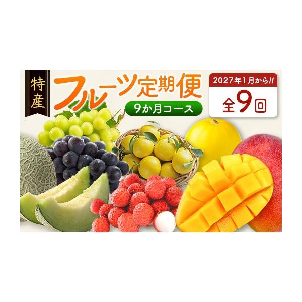 ふるさと納税 果物の詰合せ 宮崎県 新富町 数量限定 新富町 特産フルーツ 詰め合わせ 定期便 9か月コース くだもの マンゴー ライチ メロン シャインマスカッ…