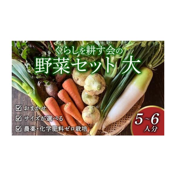 容量おまかせ野菜セット大セット（5〜6人用）消費期限発送日から冷暗所で1週間程度※お早めにお召し上がりください発送期日申し込み完了日から2週間程度※北海道・沖縄・離島にはお届けできません。配送冷蔵 時間指定 別送申込期日通年申込みを受け付け...