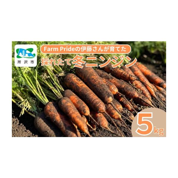 容量5kg(スーパーで見る人参の30本分くらいの量です)等級：S.SSサイズ※小さめなので、料理しやすく、カットの工程が少なく済みます！消費期限■賞味期限2〜3ヶ月発送期日入金確認後、2週間程度で発送いたします。【注意事項】・このお礼の品は...