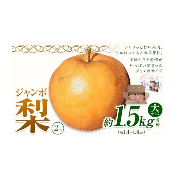 容量荒尾ジャンボ梨（新高）2玉入り約1.5kg前後(約1.4~1.6kg)消費期限お早めにお召し上がりください。発送期日2026年10月上旬-10月下旬頃出荷配送冷蔵 時間指定 別送申込期日10月上旬事業者高口果樹園申込条件何度も申し込み可...