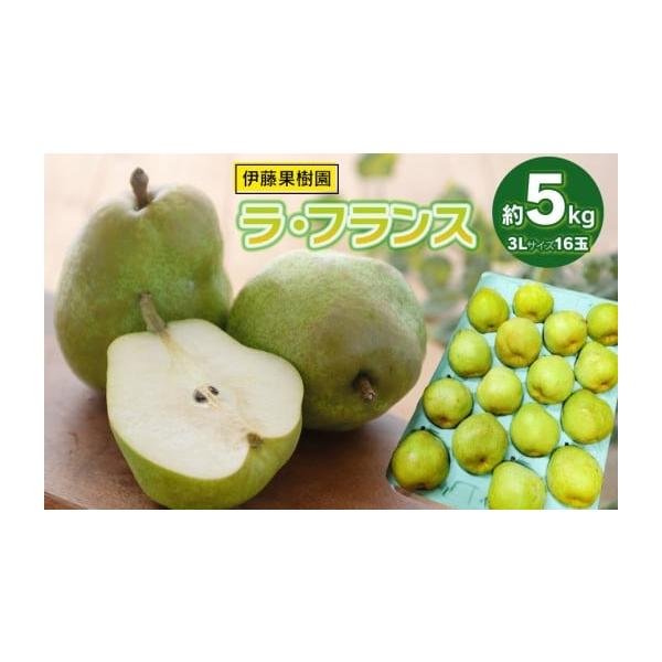 容量ラ・フランス　3Lサイズ 約5kg（16玉）消費期限発送日含む10〜15日程生ものですので、お早めにお召し上がりください。発送期日 令和8年11月5日〜12月5日頃発送予定※天候や発育状況により、発送期間が前後する場合がございます。※お...