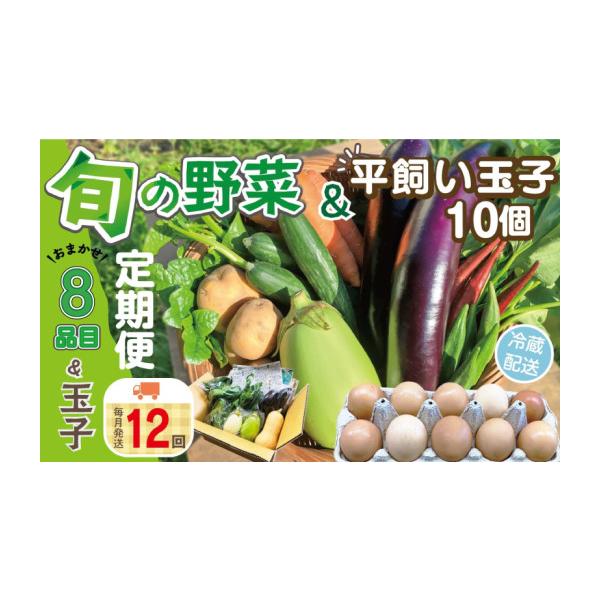 卵（鶏、烏骨鶏等） 🎖 愛知県 【子犬】 南知多町 野菜セット(8品目)&平飼い玉子 10個 セット 旬 季節 卵 南知多産 詰め合わせ 農薬・化学肥料不使用 農…