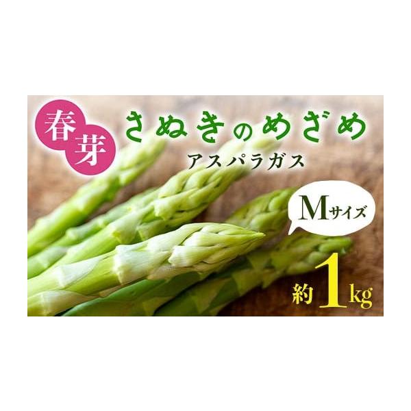 容量春芽　さぬきのめざめ　アスパラ ・Mサイズ　1kg消費期限発送から7日発送期日2026年2月中旬〜2026年6月下旬 順次発送予定配送冷蔵 時間指定 別送申込期日2026年6月10日まで事業者aglio nero （アリオネロ)申込条件...