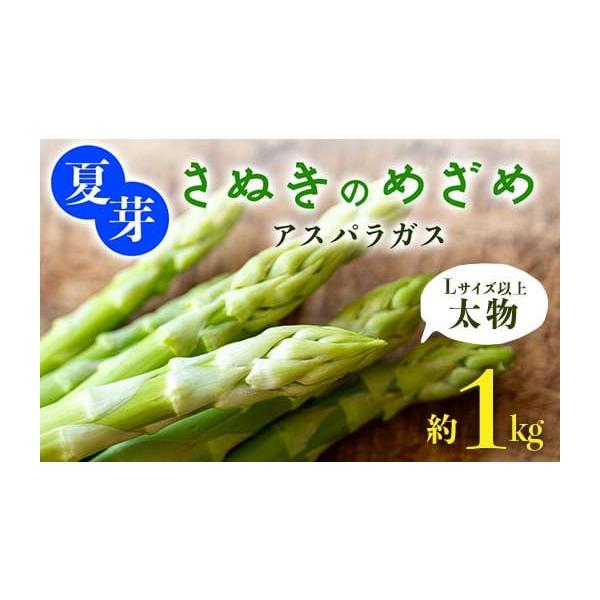 容量・太物(Lサイズ以上)夏芽さぬきのめざめ[約1kg]原産地:まんのう町消費期限発送から7日発送期日2026年6月中旬〜2026年10月中旬　順次発送予定配送冷蔵 時間指定 別送申込期日2026年9月25日まで事業者aglio nero ...