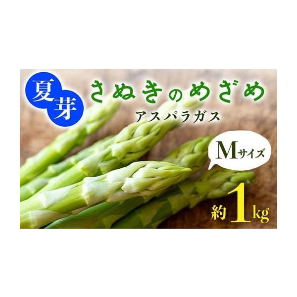 容量・夏芽さぬきのめざめ[約1kg]原産地:まんのう町消費期限発送から7日発送期日2026年6月中旬〜2026年10月中旬　順次発送予定配送冷蔵 時間指定 別送申込期日2026年9月25日まで事業者aglio nero （アリオネロ)申込条...