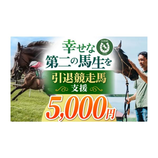 ふるさと納税 生き物 佐賀県 江北町 幸せな第二の馬生を 引退競走馬