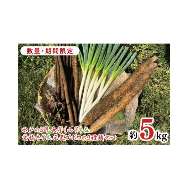 容量約5Kg（長芋（山芋）2kg（２本程度）ゴボウ2kg（５本程度）土・根っ子つきネギ1kg（曲がり有り品７本程度）消費期限保存は出来ますが、お早めに（冷蔵保存）　冬場：常温２週間発送期日ご入金確認後、11月中旬より順次発送いたします。※生...