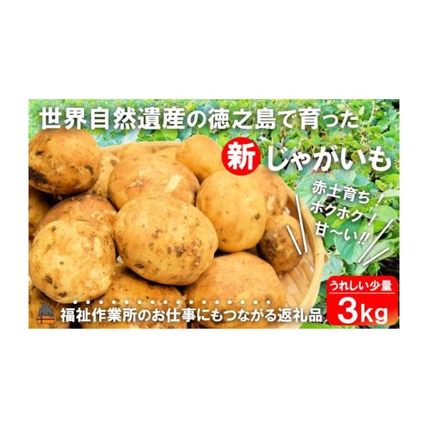 容量【内容】福祉作業所の雇用にもつながる徳之島産じゃがいも（バレイショ）（3kg）※画像はイメージです。消費期限※冷暗所で約1ヵ月。発送期日2026年2月〜4月頃配送致します。※町内の福祉作業所から心を込めて配送致します。配送常温 別送申込...