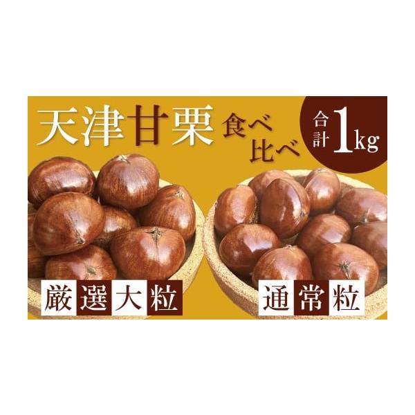 容量・天津甘栗1kg（厳選大粒500g×１袋、天津甘栗通常粒500g×１袋）　・栗爪１個消費期限発送後１０日程度ですが、到着後はできるだけ早めにお召し上がりください。発送期日2025年11月頃より順次発送します。11月以降のお申し込みは決済...