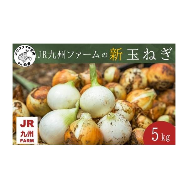 容量新玉ねぎ5kg消費期限【賞味期限】出荷日より14日発送期日2025年11月1日〜2026年1月15日の期間にて順次発送いたします。上記の発送時期中にご寄附いただいた場合は、ご寄附確認後おおむね3週間程度でお送りします。(GW・お盆・年末...