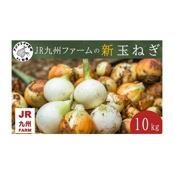 容量新玉ねぎ10kg消費期限【賞味期限】出荷日より14日発送期日2025年11月1日〜2026年1月15日の期間にて順次発送いたします。上記の発送時期中にご寄附いただいた場合は、ご寄附確認後おおむね3週間程度でお送りします。(GW・お盆・年...